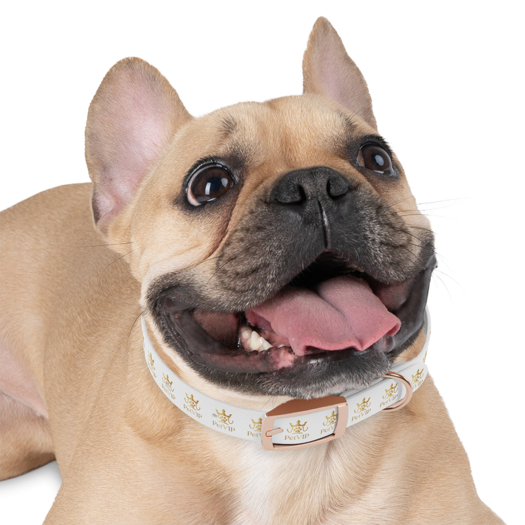 PetVIP Gold Crown Dog Collar | Luxury Monogram Pet Collar