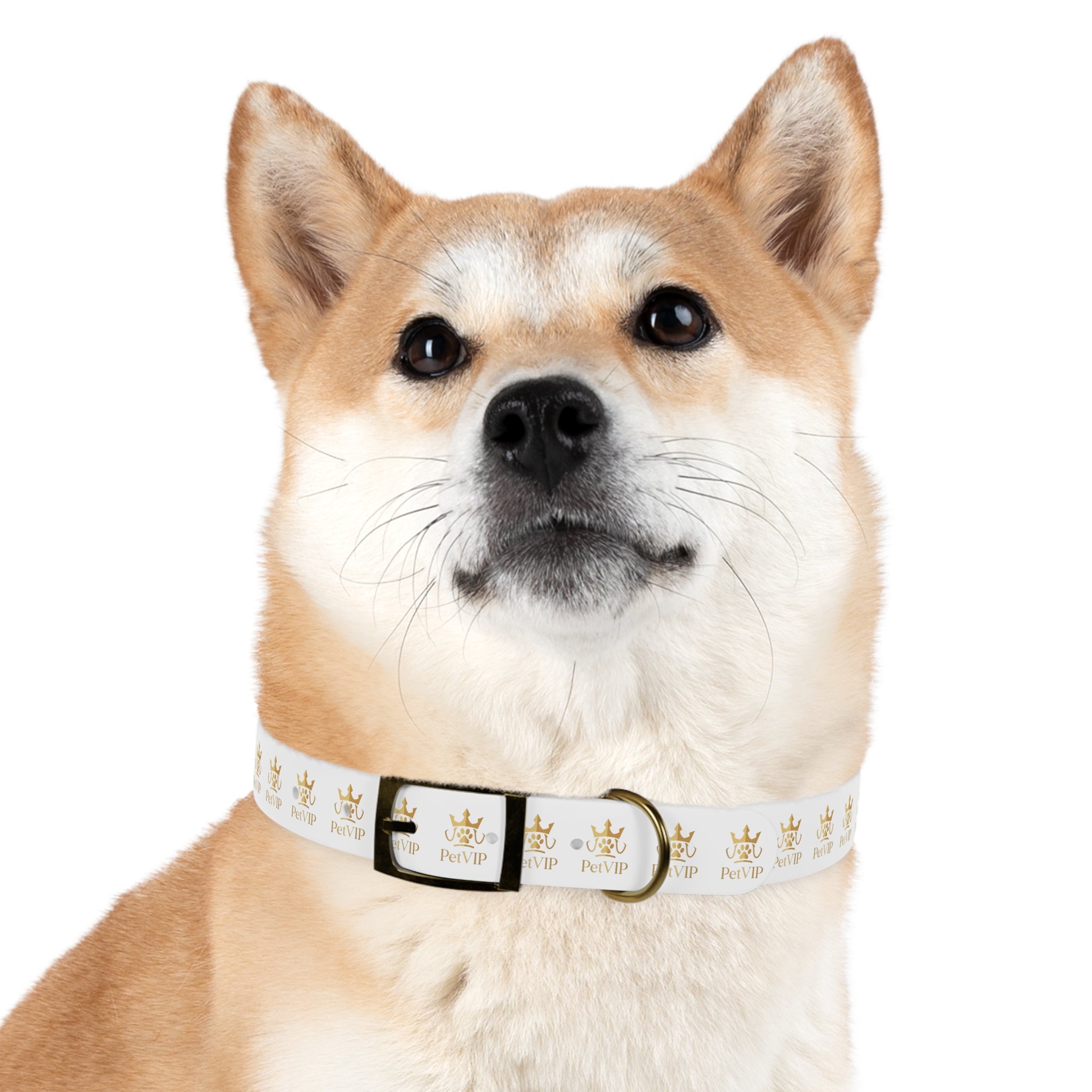 PetVIP Gold Crown Dog Collar | Luxury Monogram Pet Collar
