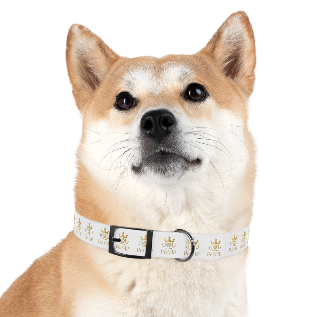 PetVIP Gold Crown Dog Collar | Luxury Monogram Pet Collar
