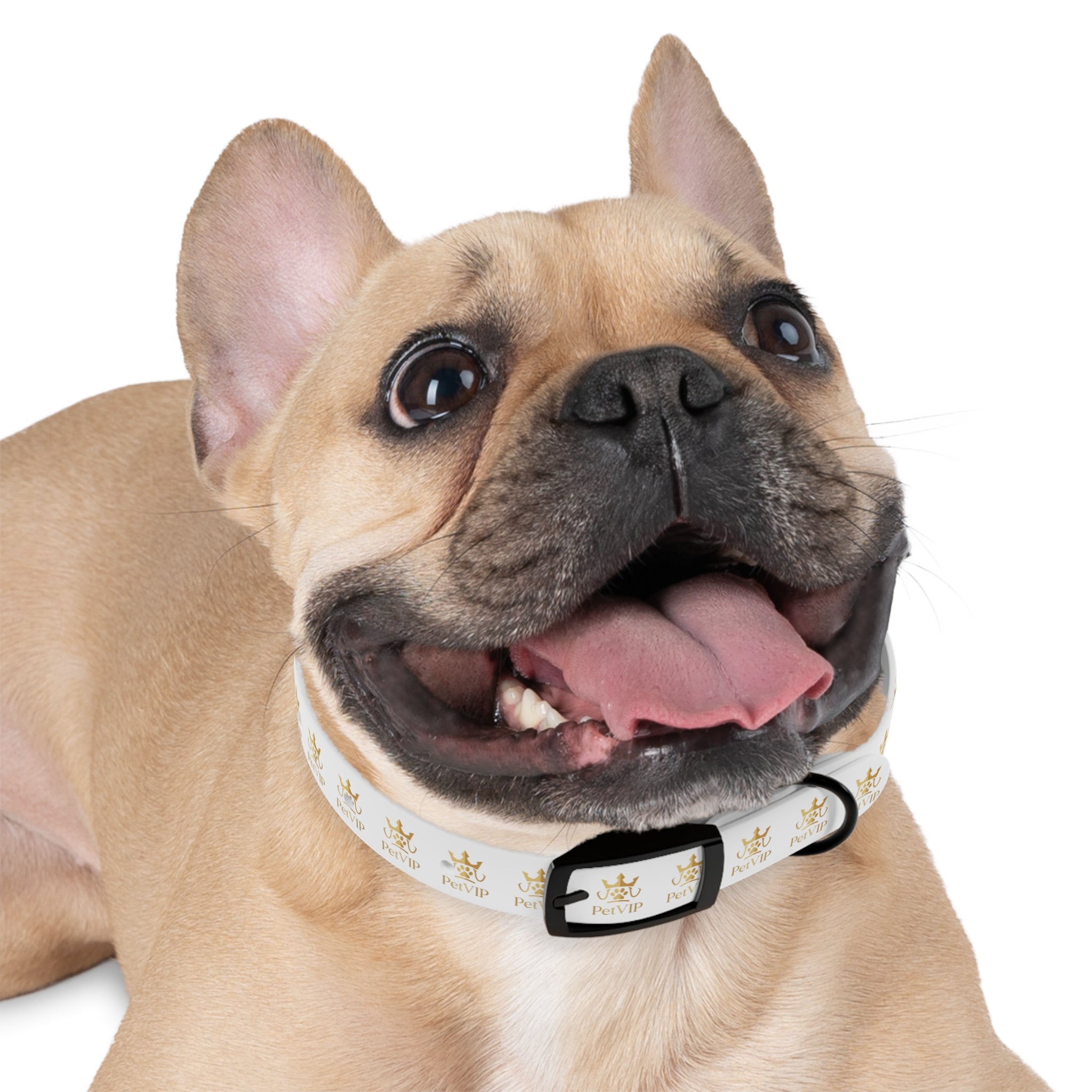 PetVIP Gold Crown Dog Collar | Luxury Monogram Pet Collar