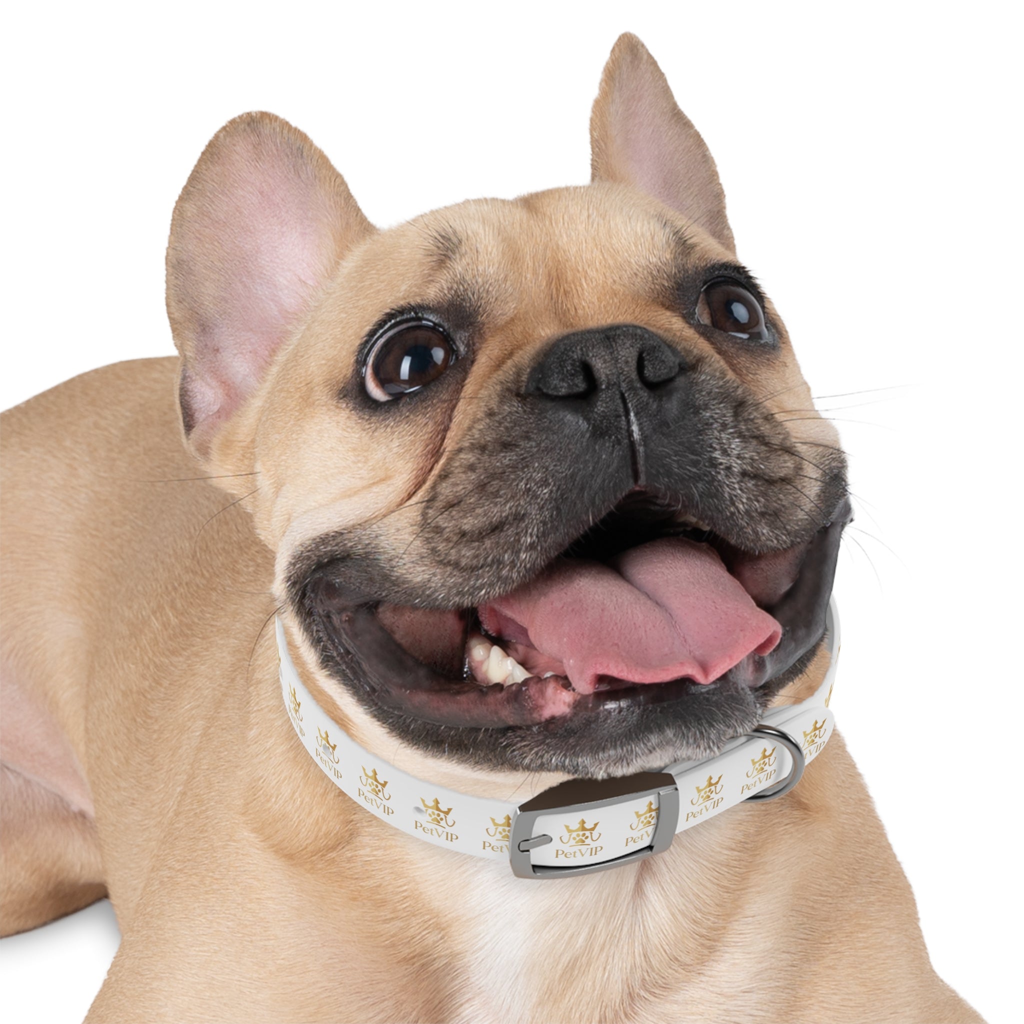 PetVIP Gold Crown Dog Collar | Luxury Monogram Pet Collar